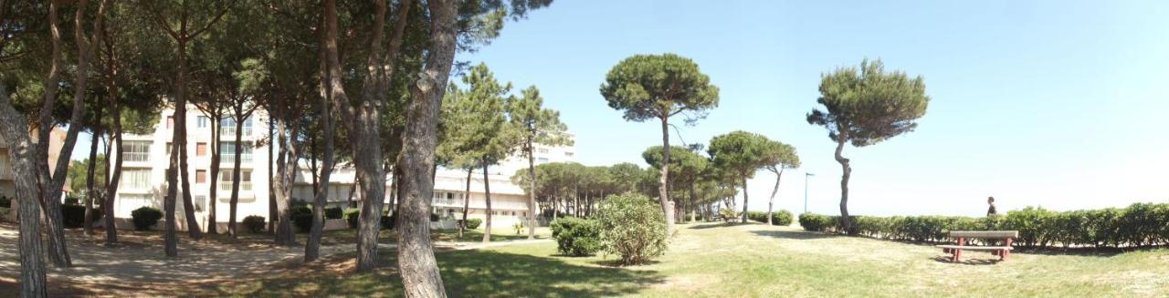 Le Belvedere 2 - Acces Direct Plage Argelès-sur-Mer Eksteriør billede